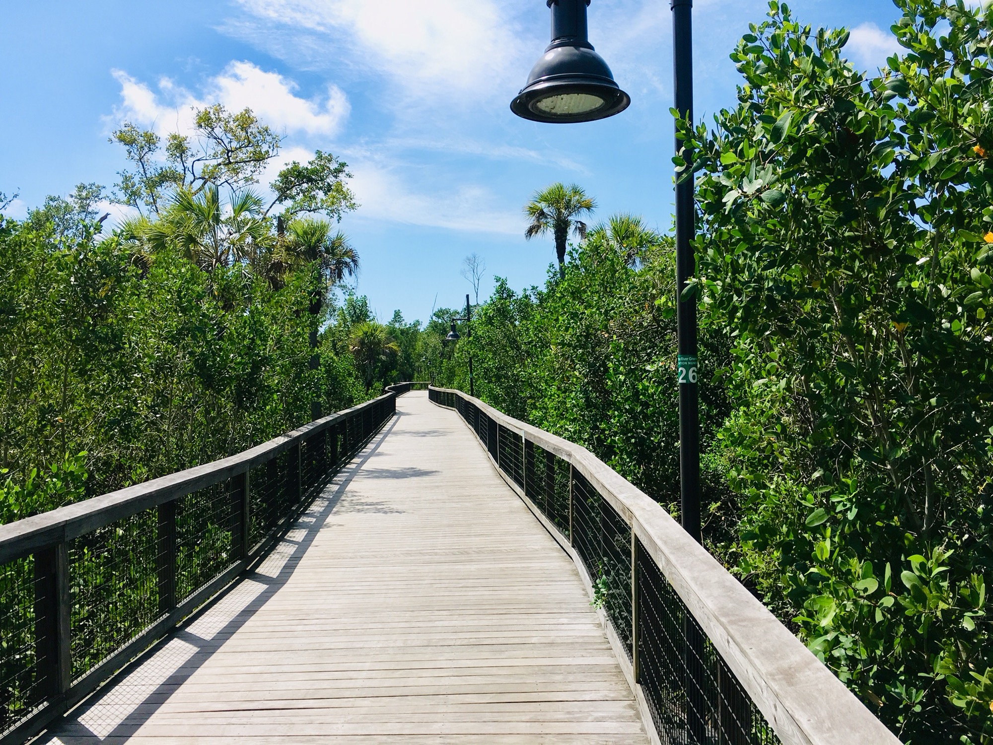 Gordon River Greenway, Naples FL — Photo by Sanibel sun, CC BY-SA 4.0 via Wikimedia Commons